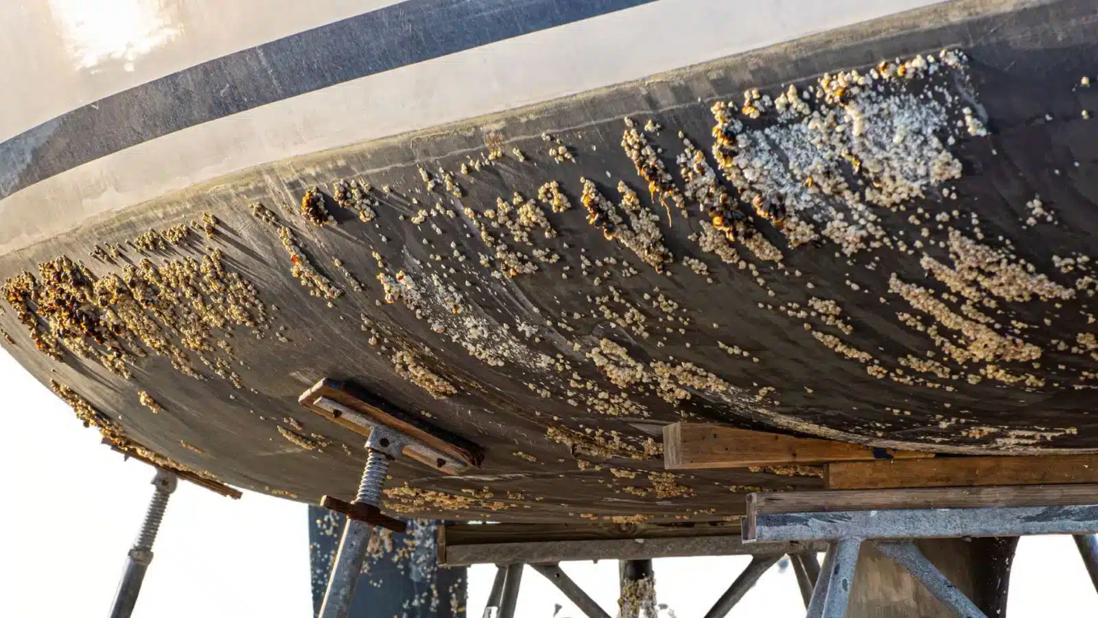 antifouling for boats