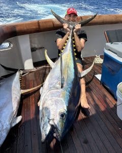 yellofin tuna 17cm lures