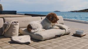 Poldo Dog Couture: de luxe hondenset voor op het water